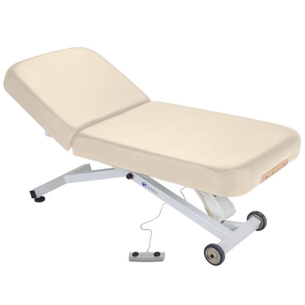 Backrest electrically or pneumatically adjustable.