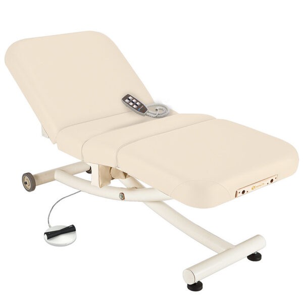 Ellora Vista Salon massage table