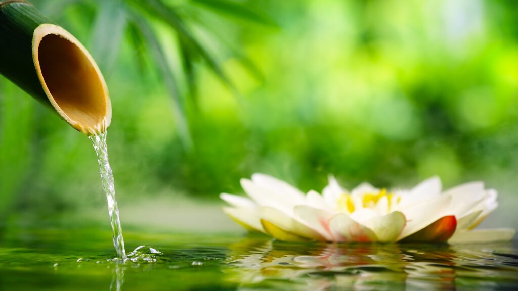 Slider 3 mindfulness